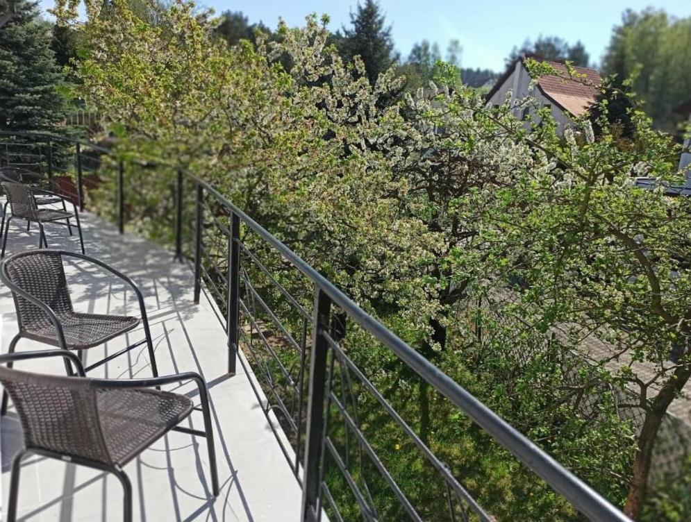 Sara Homestay Wiselka